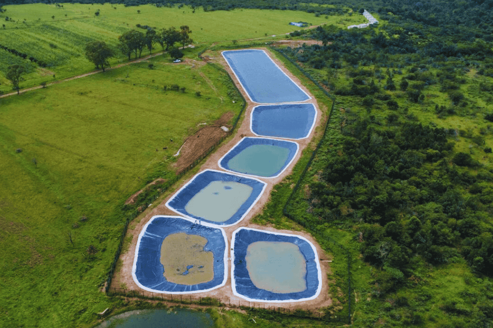 1000x667 -Esotho 0065